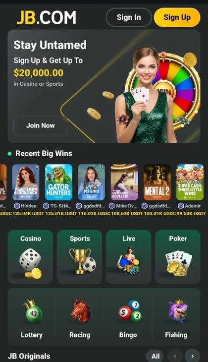 Exploring JB Casino Platform A Comprehensive Guide